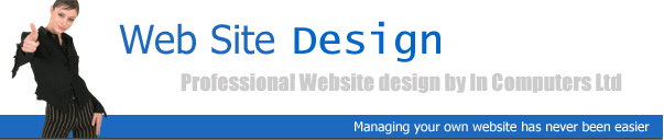 Professional website design